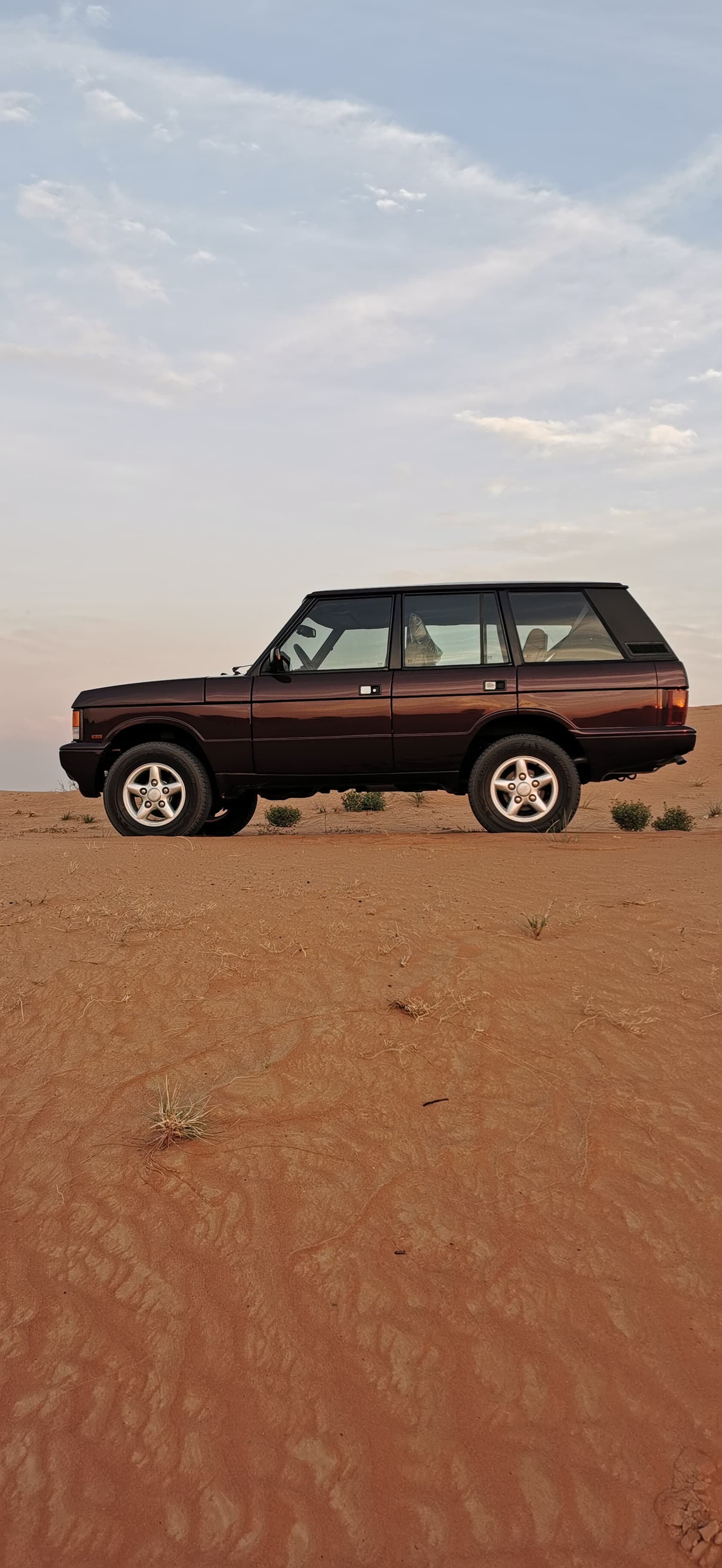 kestane rengi Land Rover Range Rover County Classic 1994